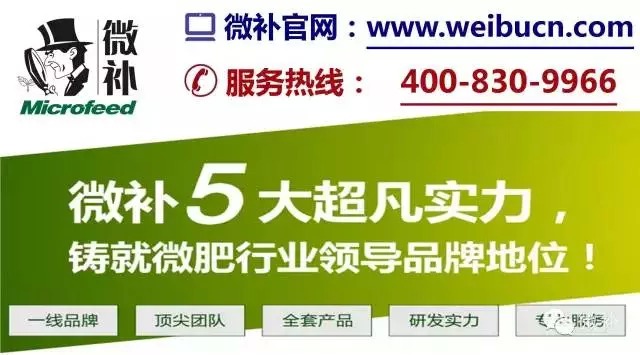 余教授奧地利鄉(xiāng)村行：萬(wàn)科為什么說(shuō)把奧地利小鎮(zhèn)搬回來(lái)？