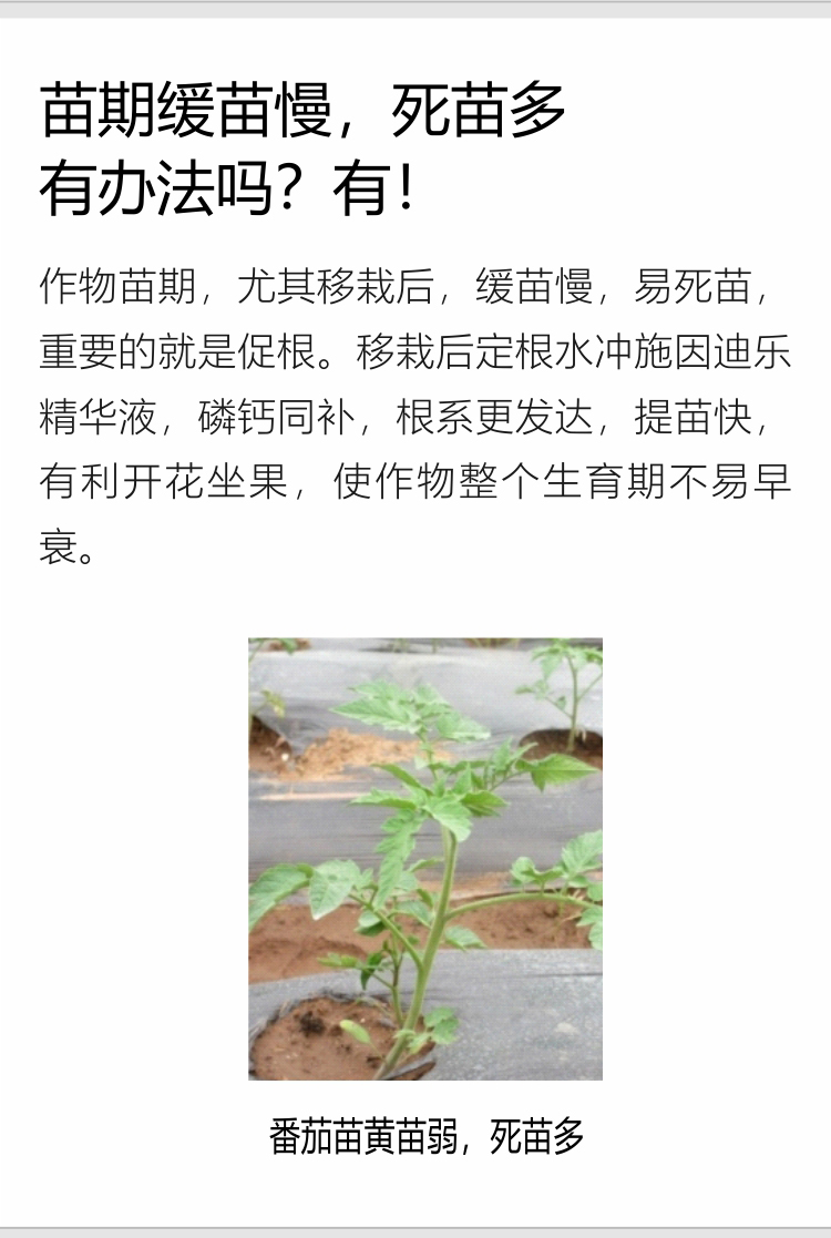 因迪樂精華液(1)_04.jpg